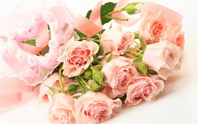 pourpre des roses, délicat bouquet, bouquet de roses, un bouquet de roses, bouquet délicat, violet roses