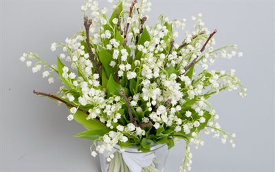 lilies of the valley, spring flowers, spring