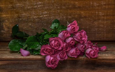분홍색 roses, 아름다운 장미, 사진, 꽃다발, 꽃의 꽃다발, 장미의 꽃다발
