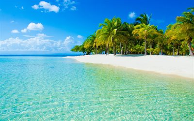 a praia, o oceano, palmeiras, areia branca, ilha paradisíaca, onda