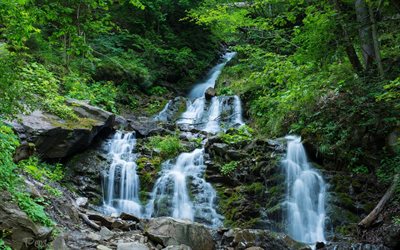 ukraina, ukrainas natur, vackert vattenfall, karpaterna, vacker privat