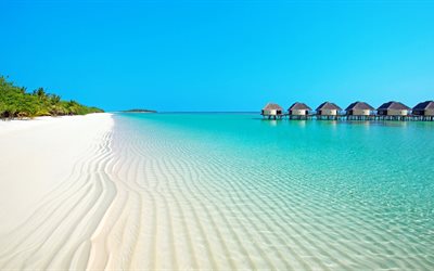 seychelles, spiaggia, di sabbia bianca