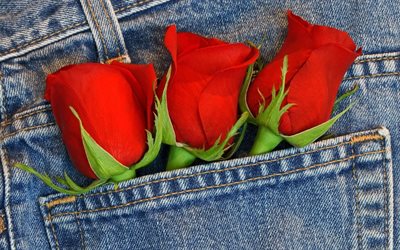 las flores, las rosas rojas