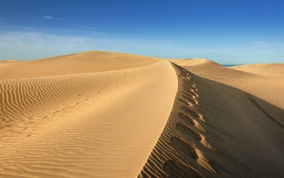 deserto, calor, areia, dunas de areia, postale, speca