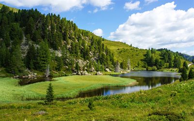 la naturaleza, austria, el verano, el estanque, la foto, pahor, la colina, las tasas de