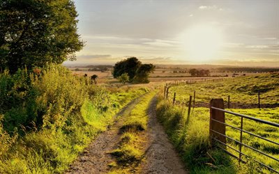 heat, evening, summer, rural road, country road