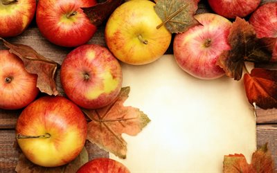la foto, de manzana, manzanas maduras, otoño, las manzanas maduras