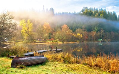 sjön, hösten, dimman, skogen