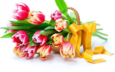 los tulipanes, un ramo de tulipanes, de colores brillantes