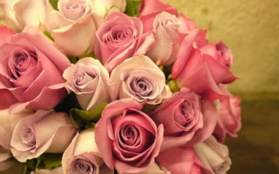buquê de rosas, rosas cor de rosa, lindos buquês, rosa, as rosas da polônia, um buquê de rosas