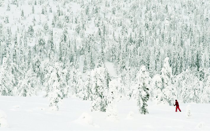 esquí de fondo, esquiador, un montón de nieve