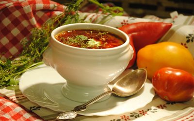 plato de sopa de remolacha, borsch ucraniano, un plato de sopa de remolacha
