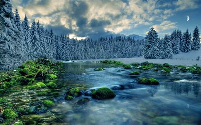 is, vinter, kväll, skog på vintern, frusen flod