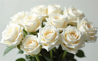 grand bouquet de roses blanches, 4k, fond gris, roses blanches, bouquet de roses, bouquets de mariage, roses, fond avec des roses blanches