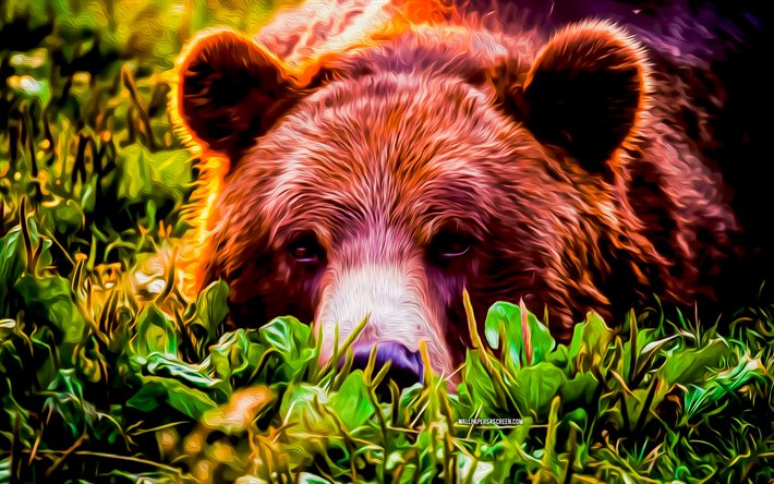 4k, grizzly, artwork, bear drawings, grizzly drawings, predator, bears, wildlife, abstract animals