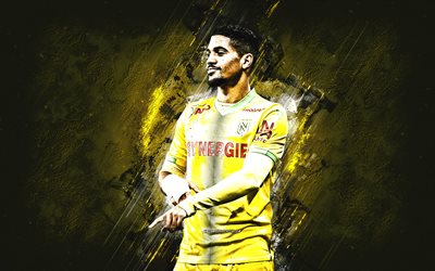 Ludovic Blas, FC Nantes, French football player, midfielder, portrait, yellow stone background, Ligue 1, France, football
