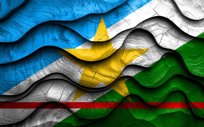 4k, roraiman lippu, brasilian osavaltiot, puiset 3d  aallon liput, roraiman päivä, brasilia, roraiman puinen lippu, roraiman osavaltio, etelä  amerikka, brasilian valtiot, rorima