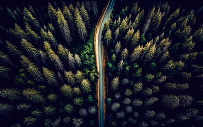camino en el bosque, 4k, vista aérea, árboles, camino de asfalto, vista superior, vista aérea del bosque