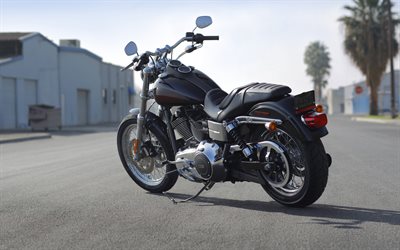 4k, harley davidson fxdls dyna low rider, vista posteriore, bike 2015, superbike, motocicletta verde, 2015 harley davidson fxdls dyna low rider, motociclette americane, harley davidson