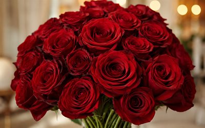 red roses, 4k, golden glare, bokeh, bouquet of roses, beautiful flowers, background with roses, red flowers, roses