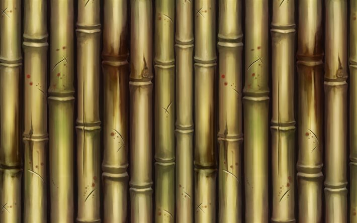 struttura di bambù, bambù dipinto, foresta di bambù, sfondo con bambù, strutture naturali, bambù