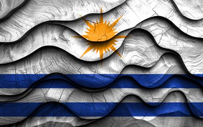 4k, palmas  lippu, brasilian kaupungit, puiset 3d  aallon liput, palmasin päivä, brasilia, palmas  puinen lippu, palmas