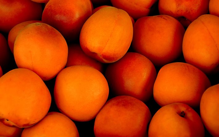 aprikoser, närbild, 4k, frukt