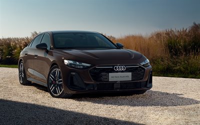 audi a5l tfsi quattro s line, 4k, fuera de la carretera, 2025 autos, cn spec, b10, 2025 audi a5l, audi a5 b10, autos alemanes, audi a5l, audi