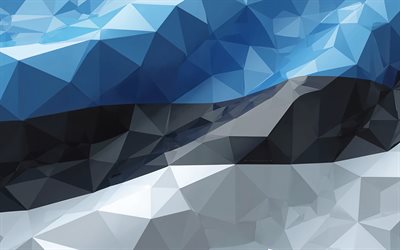 4k, الإستونيا متعددة العلم, الموجات ثلاثية الأبعاد, العمل الفني, يوم إستونيا, فن بولي منخفض, علم إستونيا, العلم الإستوني, علم ملخص إستونيا, الرموز الوطنية الإستونية, الفن الإبداعي, إستونيا