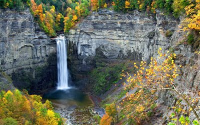 wildlife, skelia, autumn, waterfall, private, rock, dick nature