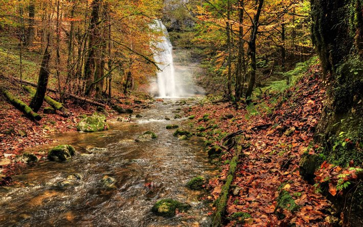 privado, otoño, bosque, strumok, arroyo, cascada, foto
