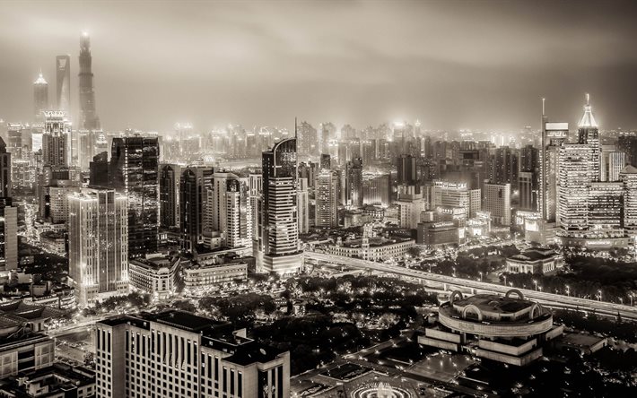 natt shanghai, kina, svartvitt foto, skyskrapor, natt
