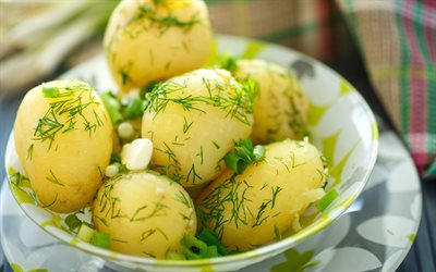 patatas, patatas cocidas, ucraniano platos, jóvenes kartupeli, waren patatas, jóvenes patatas
