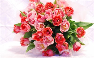 red tulips, wedding bouquet