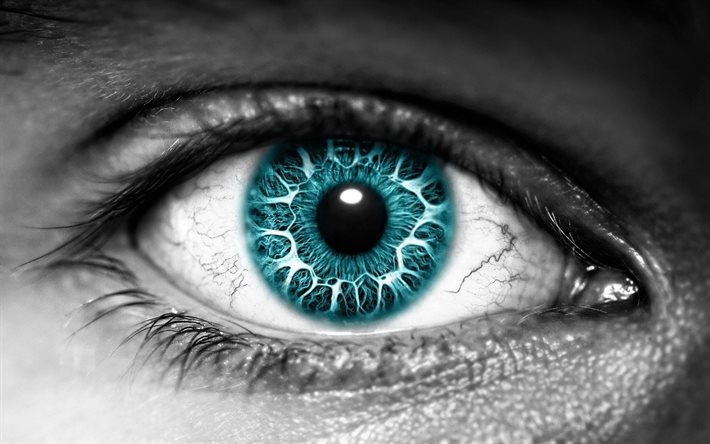 makroögon, blå ögon, det mänskliga ögat