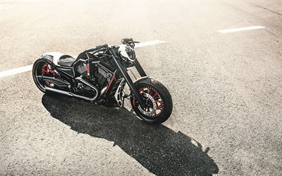 fresco de motocicletas, Harley Davidson, Barracuda