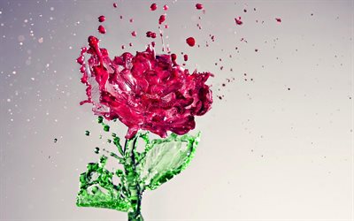 agua de flor, rosa