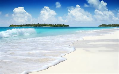 الشاطئ, الرمال, البحر, موجة, الرمال البيضاء