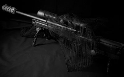 prickskyttegevär, remington 700