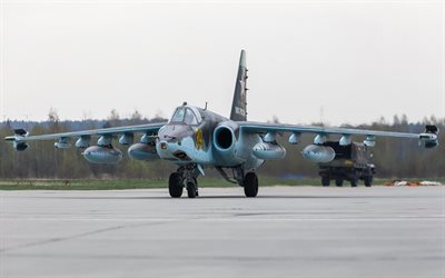 frontline attack, su-25, sukhoi 25, rook
