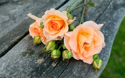 orange, roses, un bouquet de fleurs