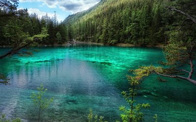 lago verde, la naturaleza única, gruner lago, gruner ver, intenta