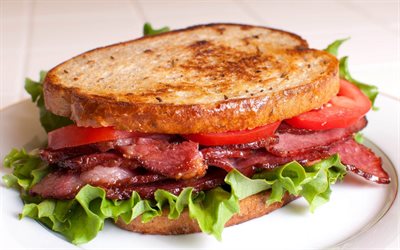 hot sandwich, unhealthy food, sandwiches, buterbrodi