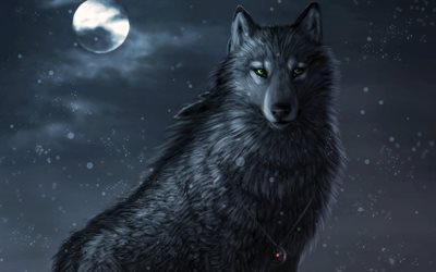 lobos pintados, lobo negro, noite