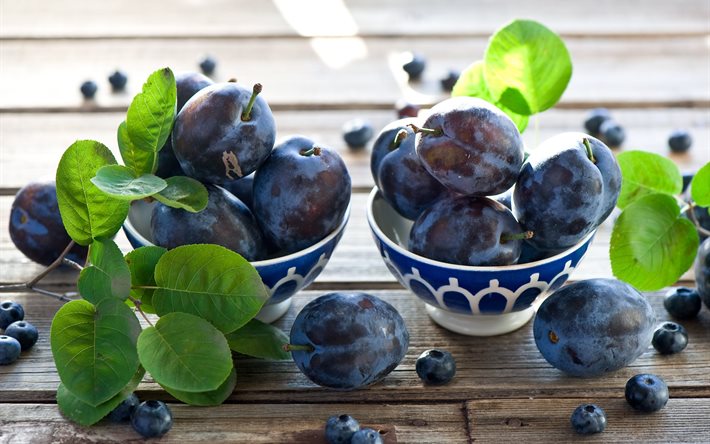 clive, 과일, 열매, 블루베리, plum, agodi
