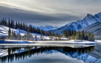 l'hiver, paysage d'hiver, le lac, le pin, neige