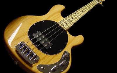 bass guitar, musical instruments