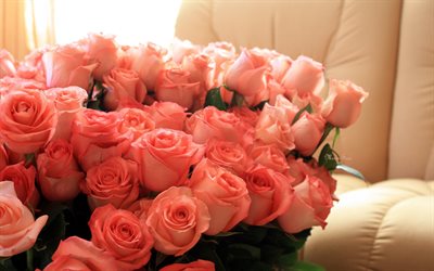 जामुनी गुलाब, गुलाबी गुलाब के फूल