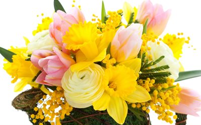 photo, tulips, daffodils, mimosa