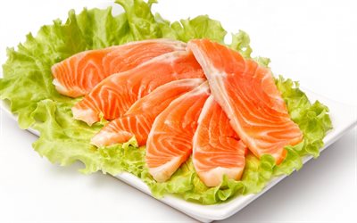 salmon, slices of salmon, red fish, red riba